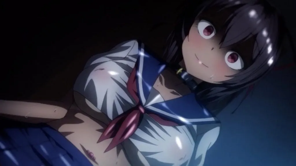 OVA ネトカノ